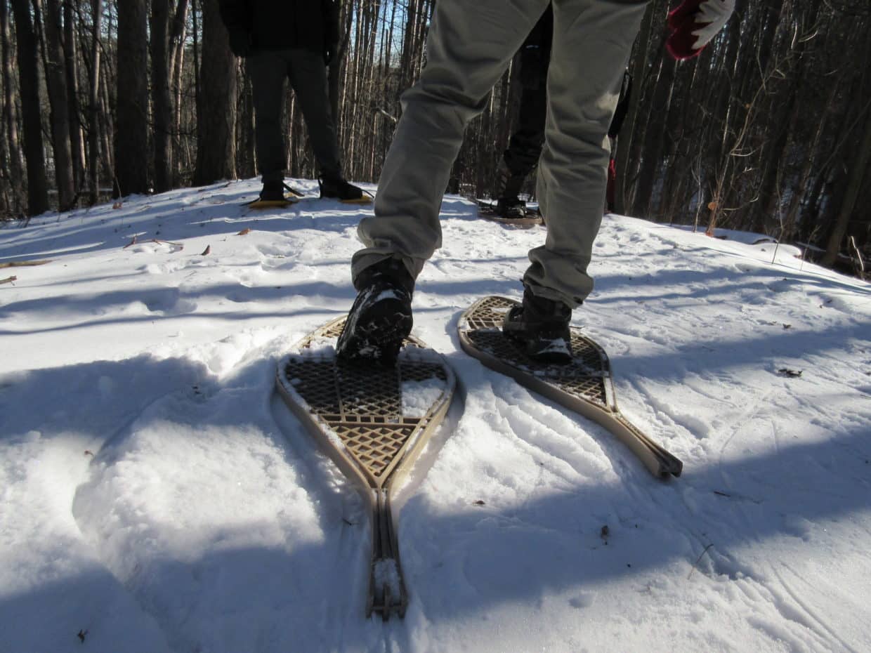 Moonlight Snowshoe