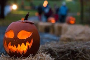 Things to Do this Thanksgiving Weekend in Hamilton