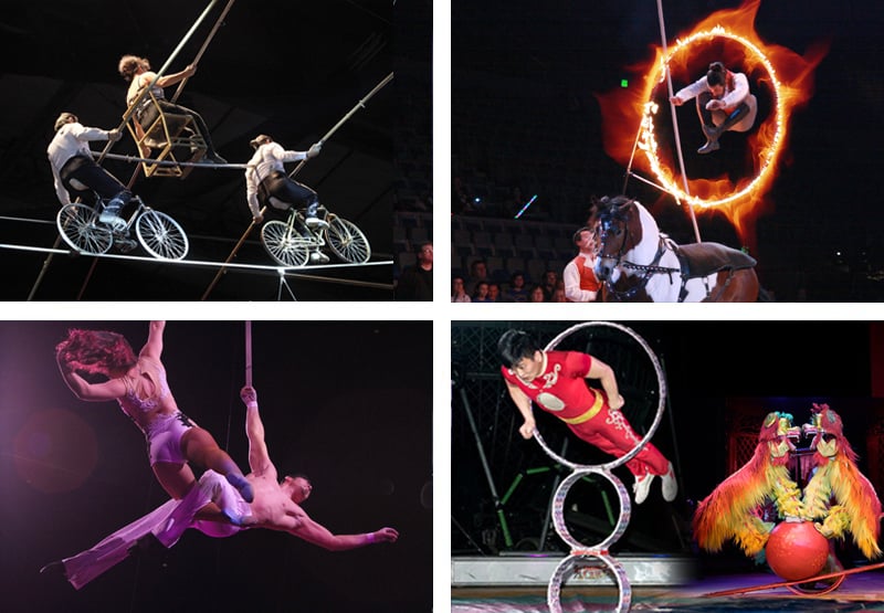 Royal Canadian International Circus 2026