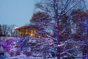 Family Fun Things to Do During Christmas Break in Hamilton
