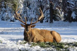 5 Weekend Getaways in Alberta: 2nd Weekend of January