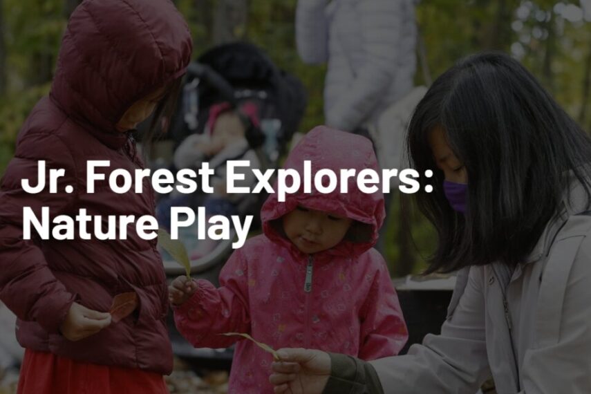 Jr Explorers Jr. Forest Explorers: Nature Play
