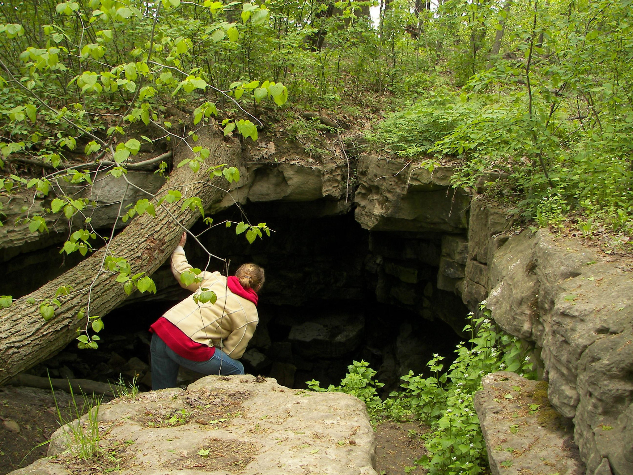 25 of the Best Hiking Trails in Hamilton