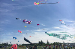 Go Fly a Kite at Brampton KiteFest This Weekend