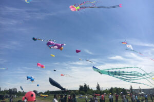Go Fly a Kite at Brampton KiteFest This Weekend