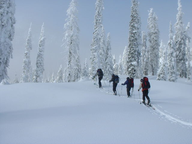 Winter in Nelson
