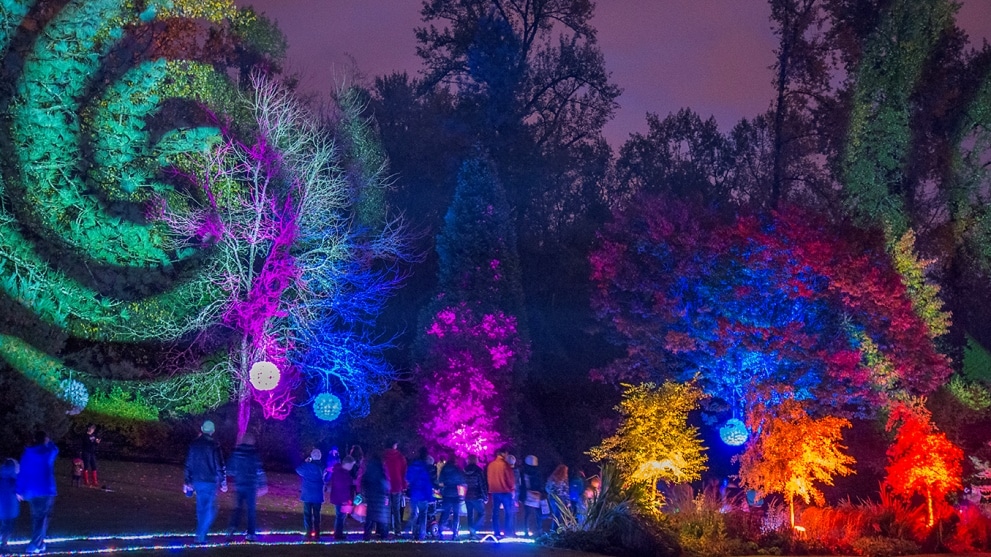 Bear Creek Lights