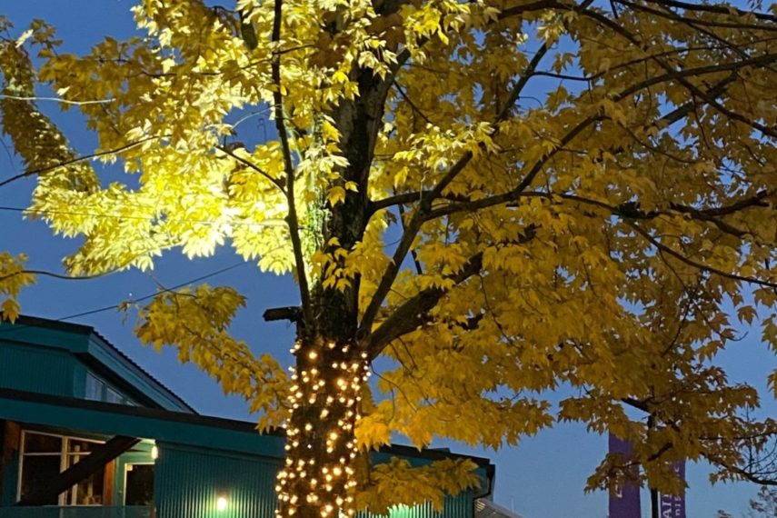 Granville Island Festive Lights