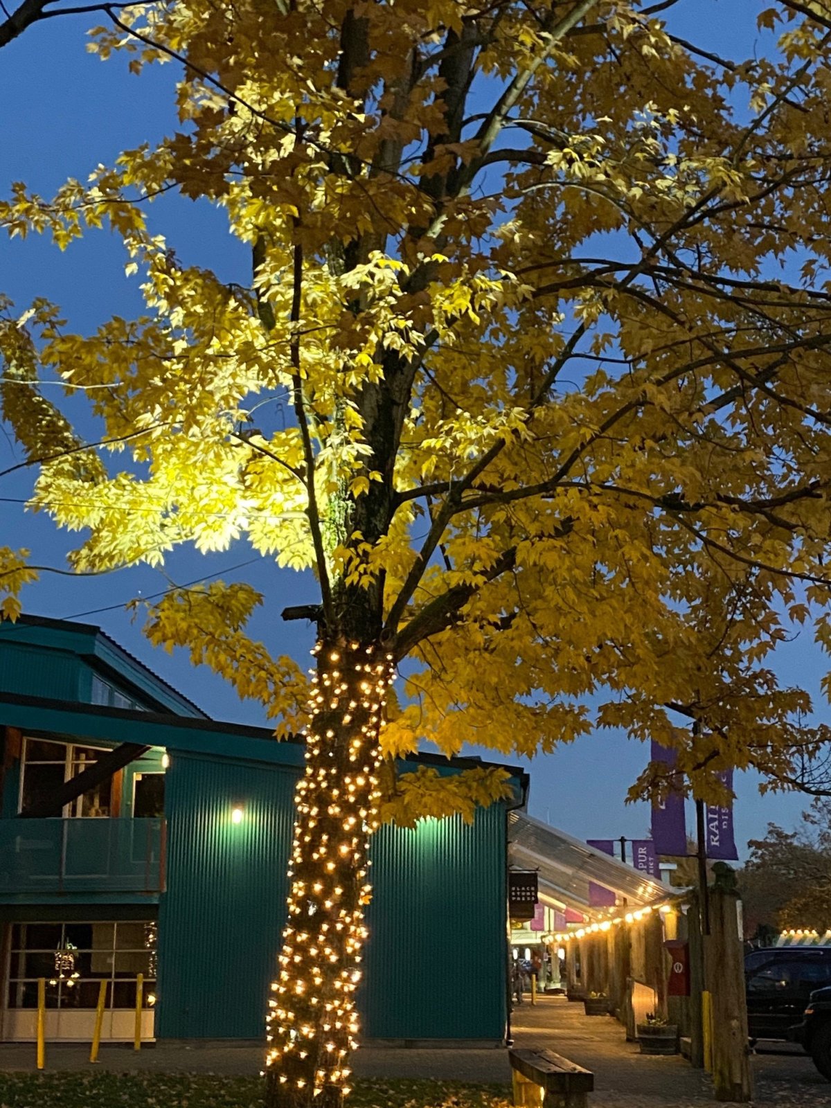 Granville Island Festive Lights