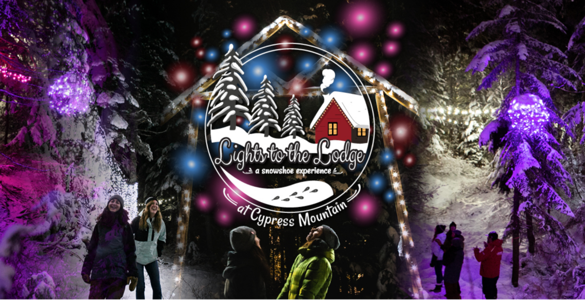 Cypress on sale christmas lights