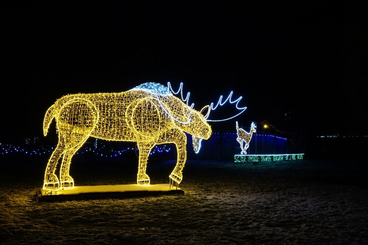 Magical Christmas Light Displays in New Brunswick