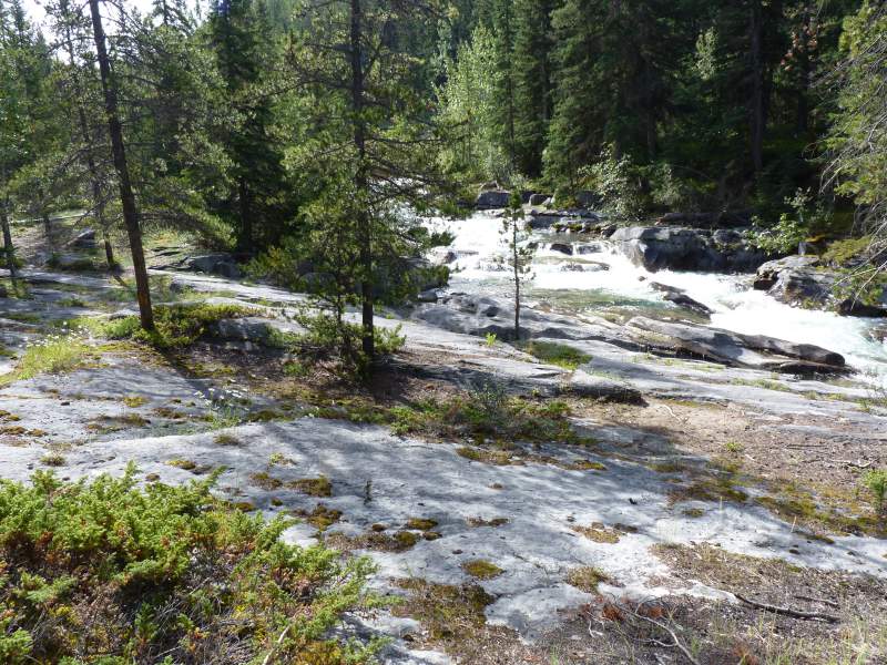 malignecanyon7