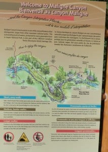 malignecanyonmap