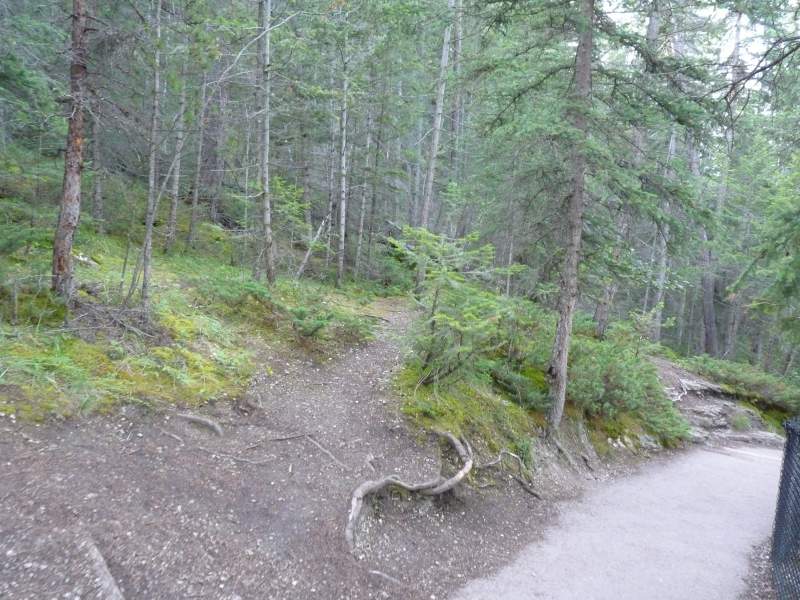 malignecanyonpath