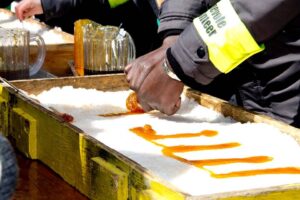 Sugar Fest