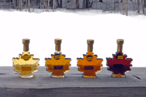 Maple Syrup Festivals in and around Toronto
