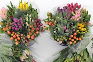 Flower and Mother’s Day Gift Delivery Options in Hamilton