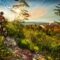 Top Bike Routes and Trails in New Brunswick
