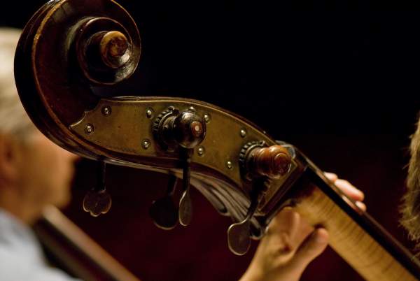 Live Music and Concerts in Edmonton