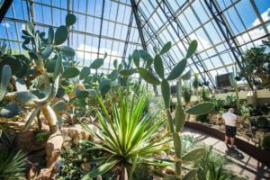 Gardens & Conservatories in Alberta