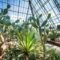 12 of the Best Gardens & Conservatories to Visit in Alberta