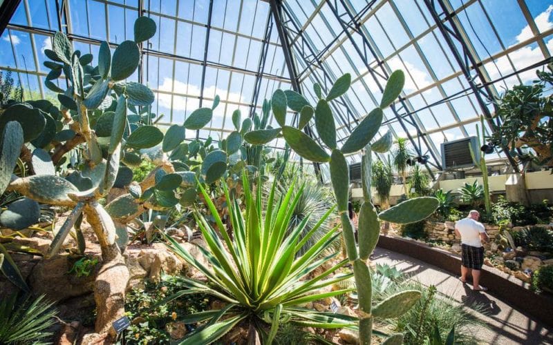 Gardens & Conservatories in Alberta