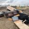 Alberta Wants Much Higher Fines for Illegal Dumping: Here’s What Could Change