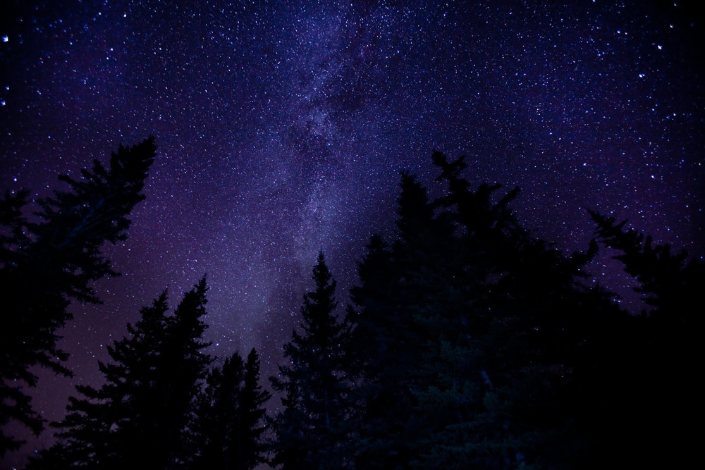 25 Provincial Parks to Visit in Alberta during Winter