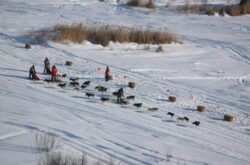 Top Winter Events & Festivals in Manitoba - 2025/26 Season