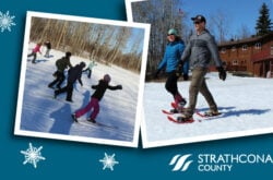 News Year's Day at Strathcona Wilderness Centre