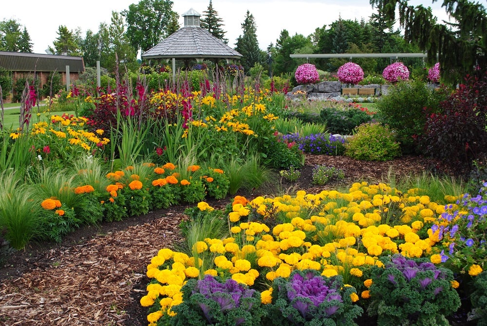 Photo Credit: Olds College