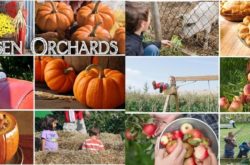 Halloween In London Haunted Attractions Family And Adult Activities 2020 To Do Canada Halloween In London Haunted Attractions Family And Adult Activities 2020 To Do Canada