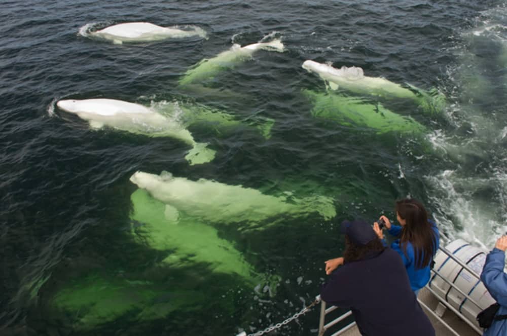 Photo Credit: Canadian Tourism Commission