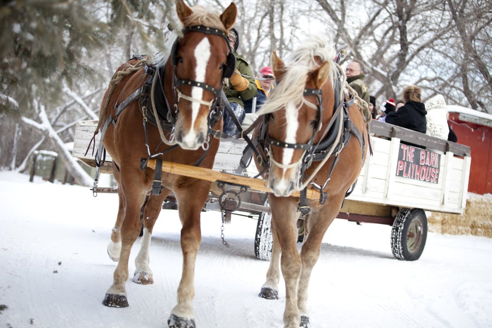Family Day Weekend & February Break in Saskatoon