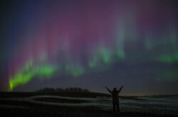 Things to Do This Weekend in Edmonton - May 15 to 18, 2026