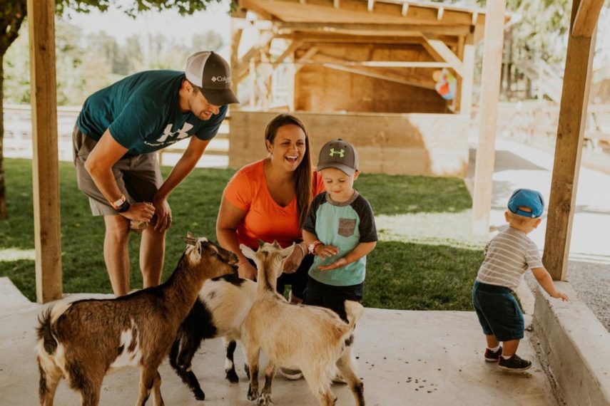 Barnyard Adventureland Maan Farms & Estate Winery, 790 McKenzie Rd