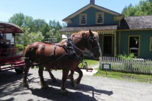 Pickering Museum Village