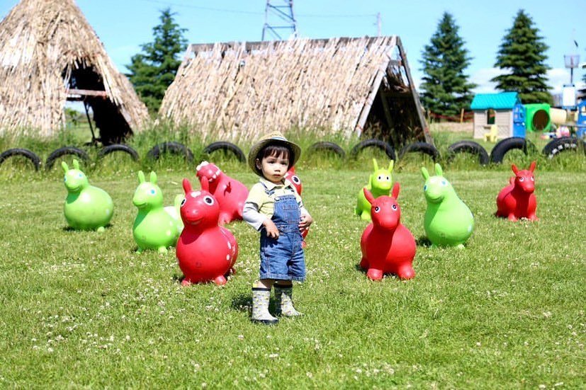 Barnyard Playland | Brooks Farms, 122 Ashworth Road, Mount Albert, Uxbridge | To Do Canada