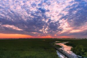 Things to Do at Point Pelee National Park