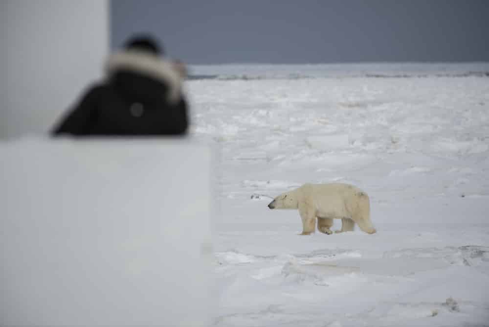 50 Things to Do in Manitoba During Winter
