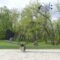 Pumphouse Park Along the Bow River Reopens With New Pathways, and Picnic Areas