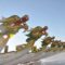 rideau-dragon-boat