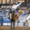 rodeo