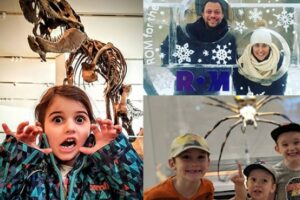 ROM for the Holidays