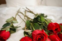 Hotels Offering Valentine’s Day Staycation Packages in and Around Toronto