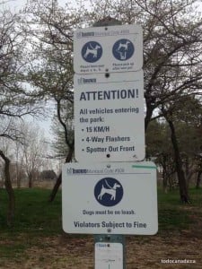 rulesashbridgespark