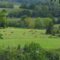 Farms to Visit in Greater Toronto Area | Family Fun Farm Trips