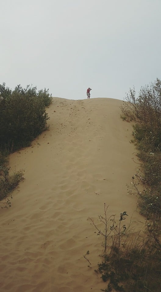 Spruce Woods Hiking Trails Top Things To Do At Spruce Woods Provincial Park In Manitoba | To Do Canada