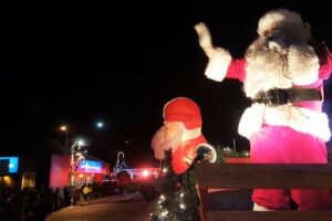 Free Fun Things to Do in Edmonton in November - 2026