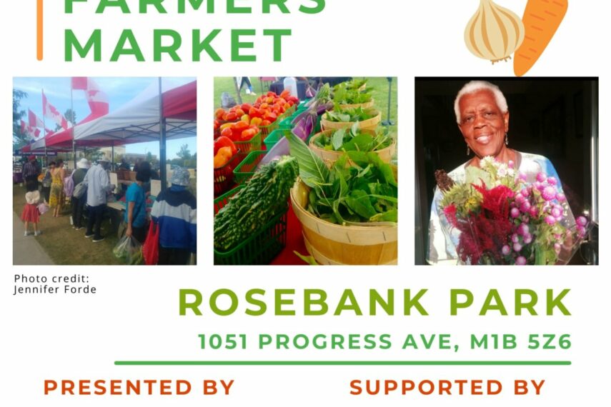 Scarborough Farmers’ Market Rosebank Park